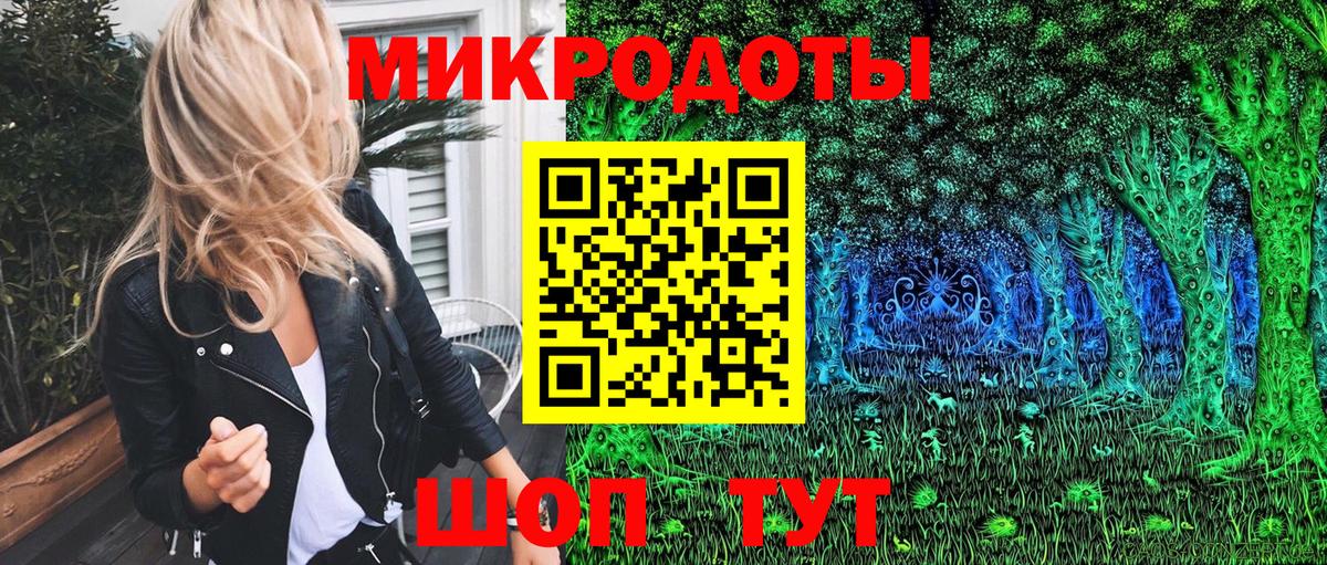 Галлюциногенные грибы Psilocybine cubensis Пермь